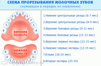 combien de mois les dents sont coupées