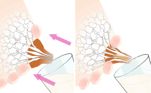كيفية إفراز حليب الثدي بيديك
