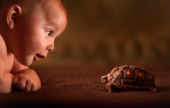 insecte et bébé