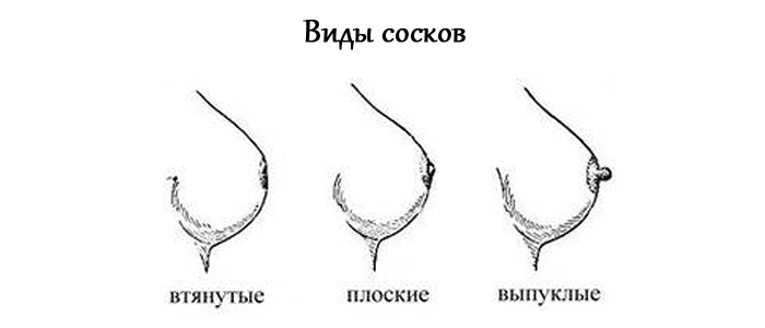 gotovim-grud-k-kormleniiu-vidy-soskov